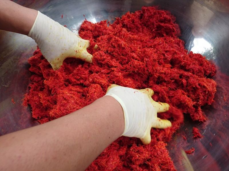 Hoa rum Mogami benibana